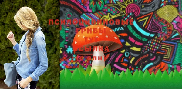 ешки Алексин