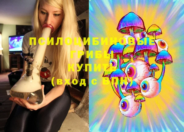 2c-b Абдулино
