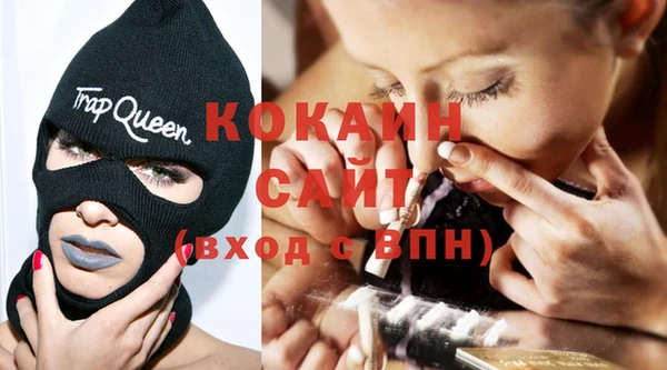 соль ск Абаза